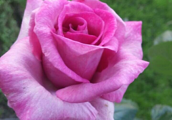 Let your light shine bright my dear friend! Your strength, wisdom, goodness, and guidance will live on forever in all the lives you have touched. Your beautiful spirit brightens the heavens!