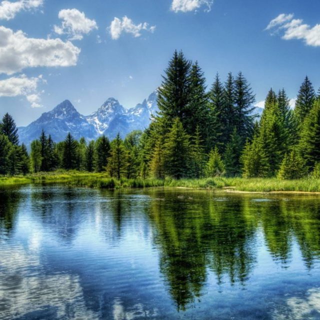 Beautiful Landscape