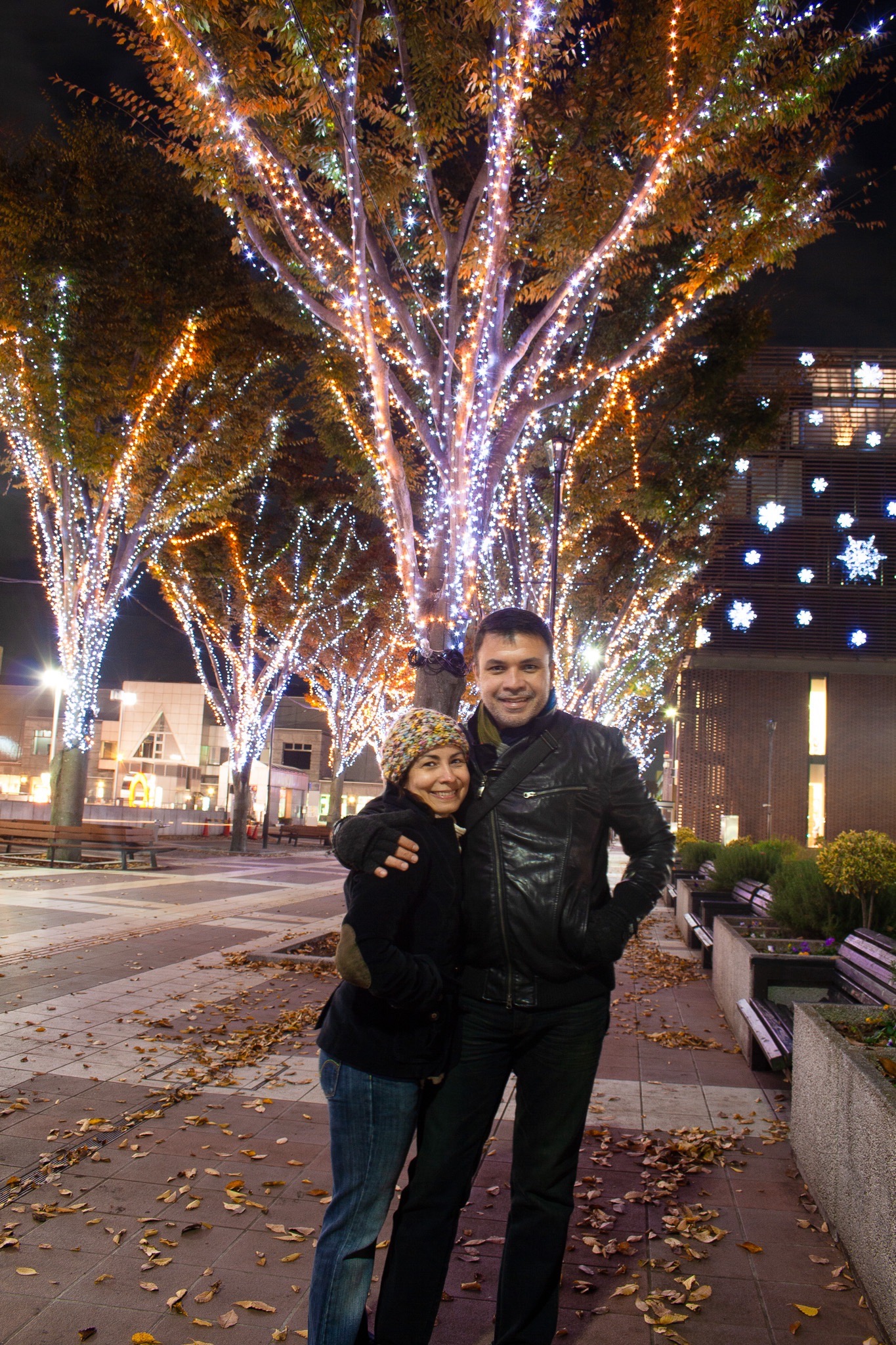 The Christmas lights in Tsukuba, Japan.