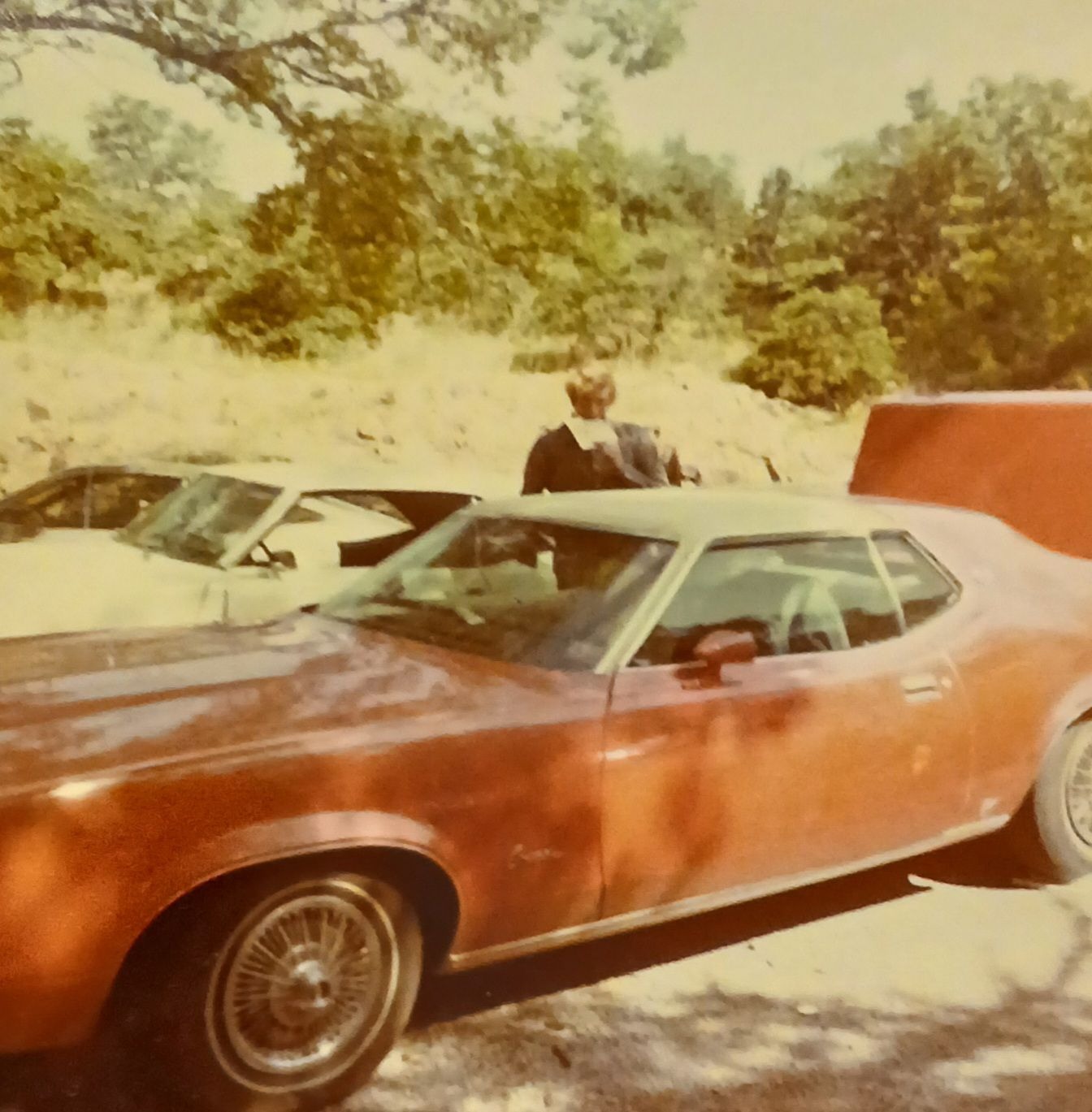 Robert and the Cougar
1975