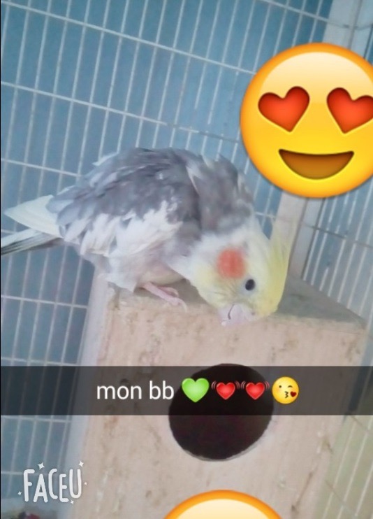 Mon ange repose en paix sur instagram on parle bcp de toi bisous repose en paix petite ange 😇😇😇😇😇😇😇😇😇😇😇😇😇