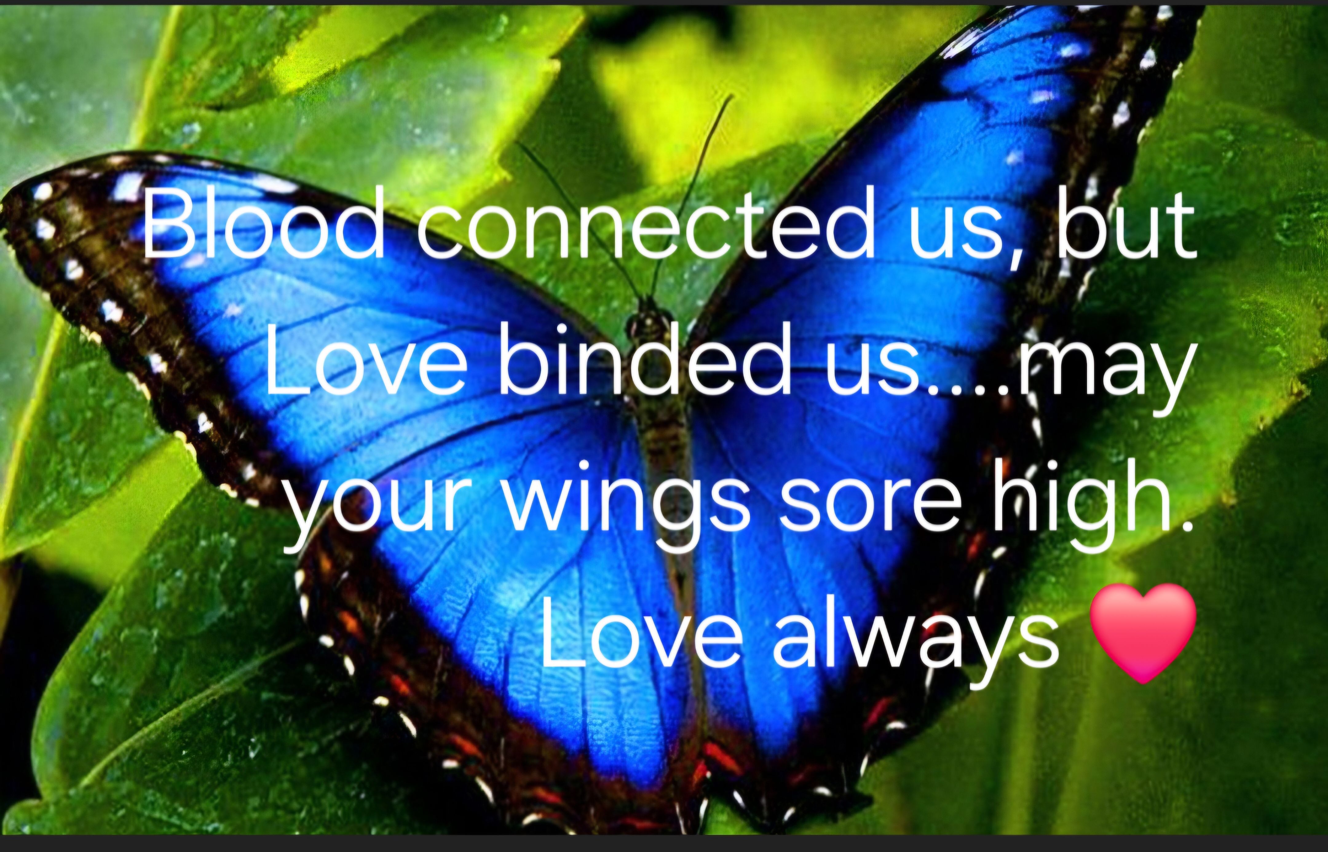 Remembering you today, 12 months and everyday in between and beyond...Fly High my beautiful Angel 😇