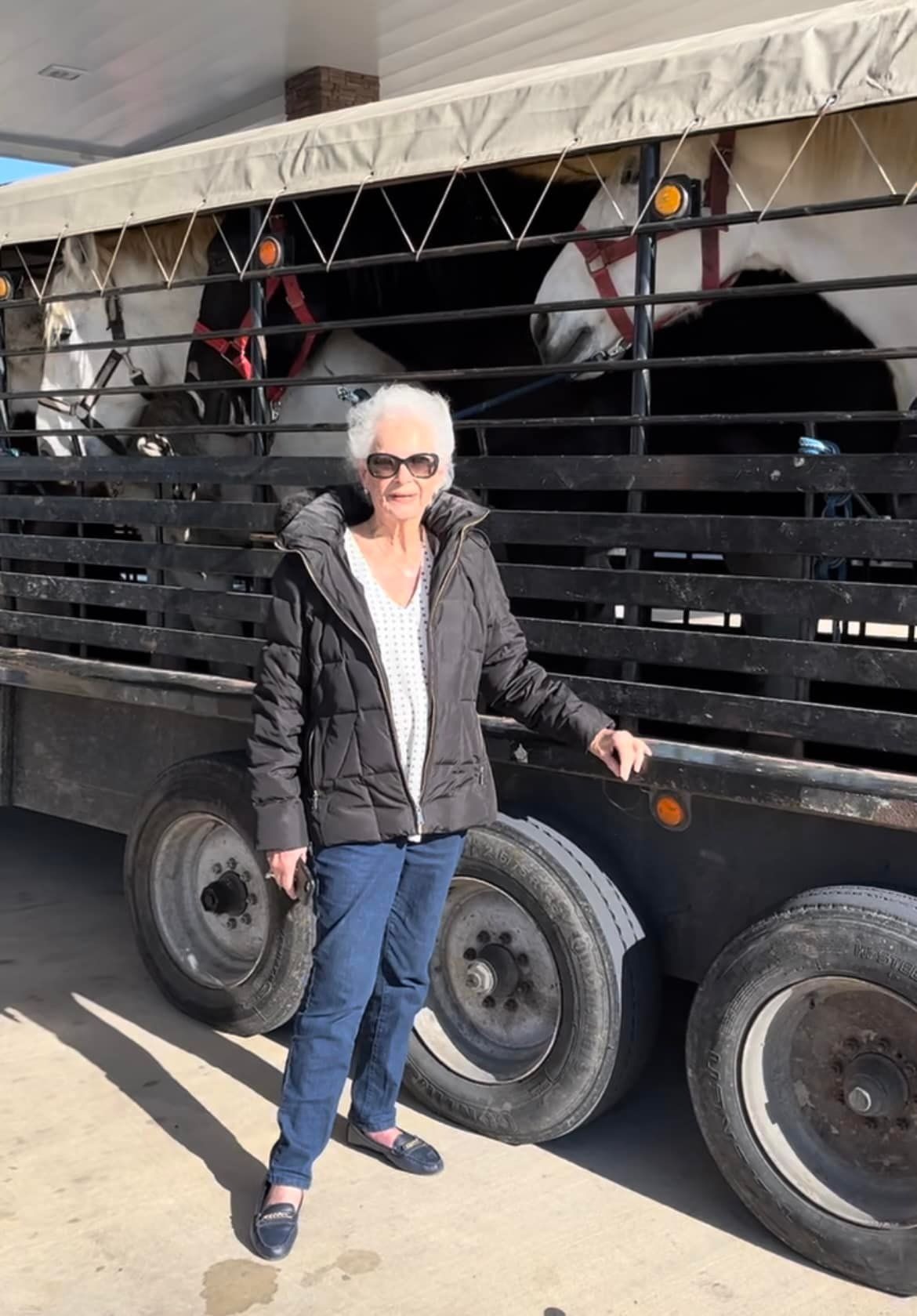 Stocktrailer hauling!