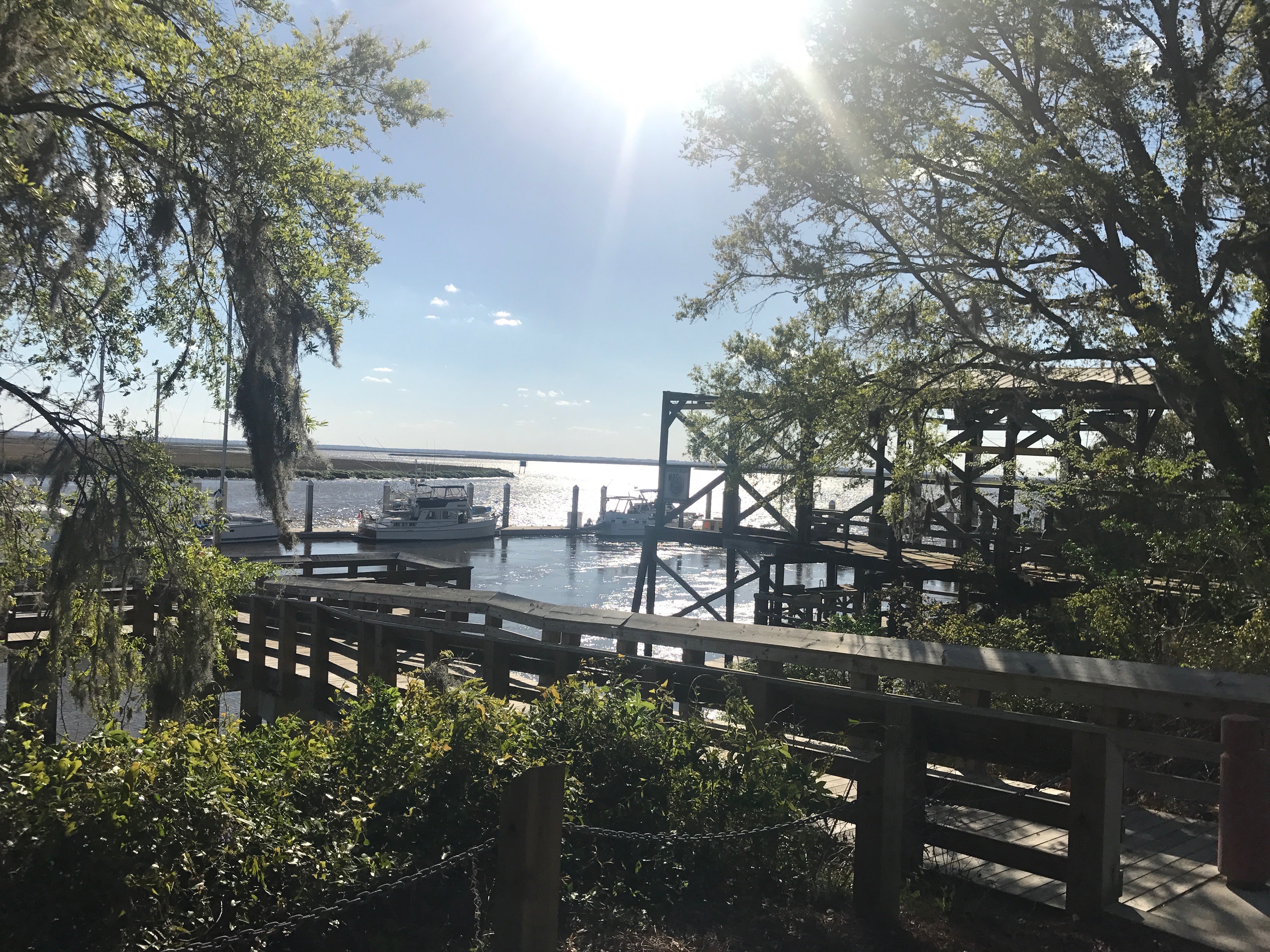 One of Wesley's most favorite places in Savannah - on the shore of the Forest River