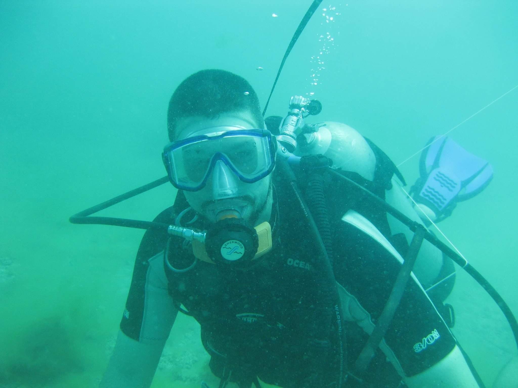 Scuba diving for sharks teeth venice beach