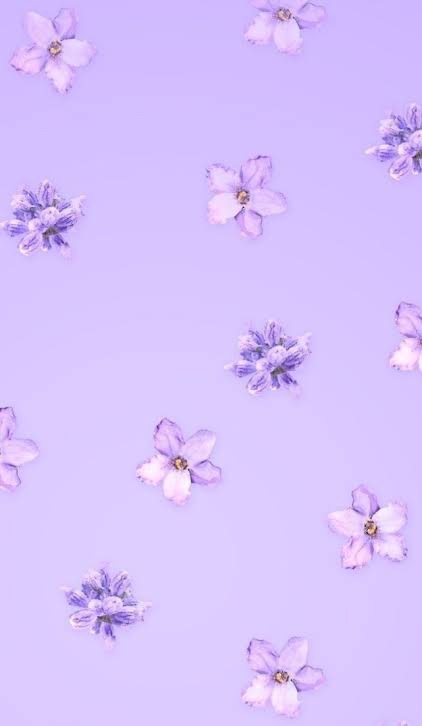 1 year. 1 year since you left. You sweet sweet girl, you never deserved what happened to you. Rest in peace Ale, PLEASE be with your precious family today and everyday. Even though we don't know each other, I would have loved to be your friend. I plan on wearing purple to represent you today 💜 So much love for you.