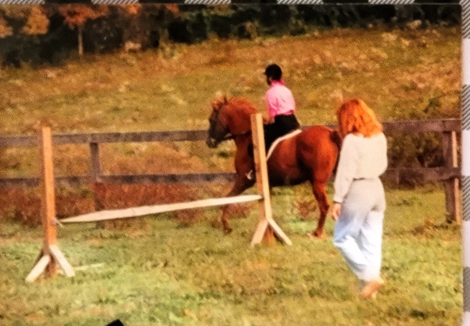 This is a picture of my mother riding "Red Moon", a horse that with her training went on to become reserved grand champion at Devon horse show.
