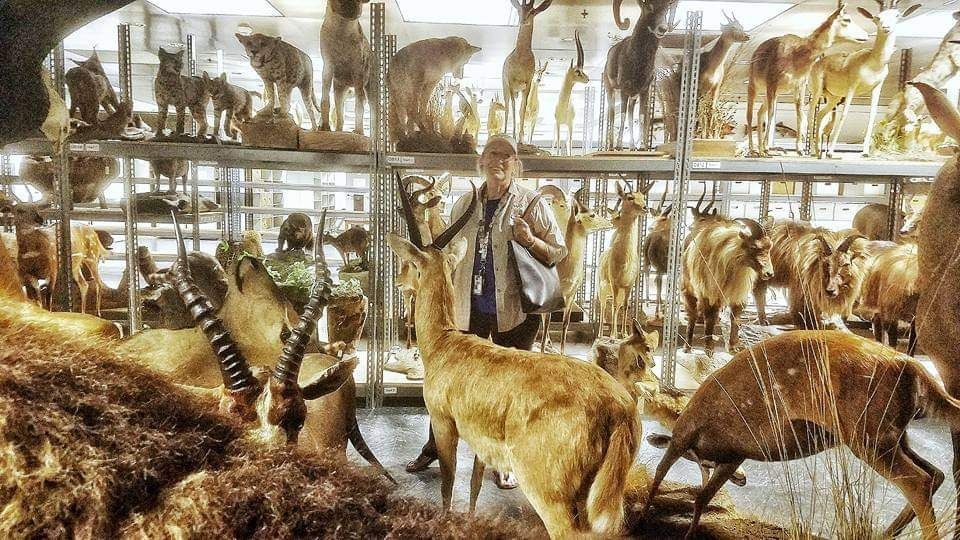 Jan and I got to hand select taxidermy specimens for our Wetland Creatures of the Night Hike. What an amazing experience.
