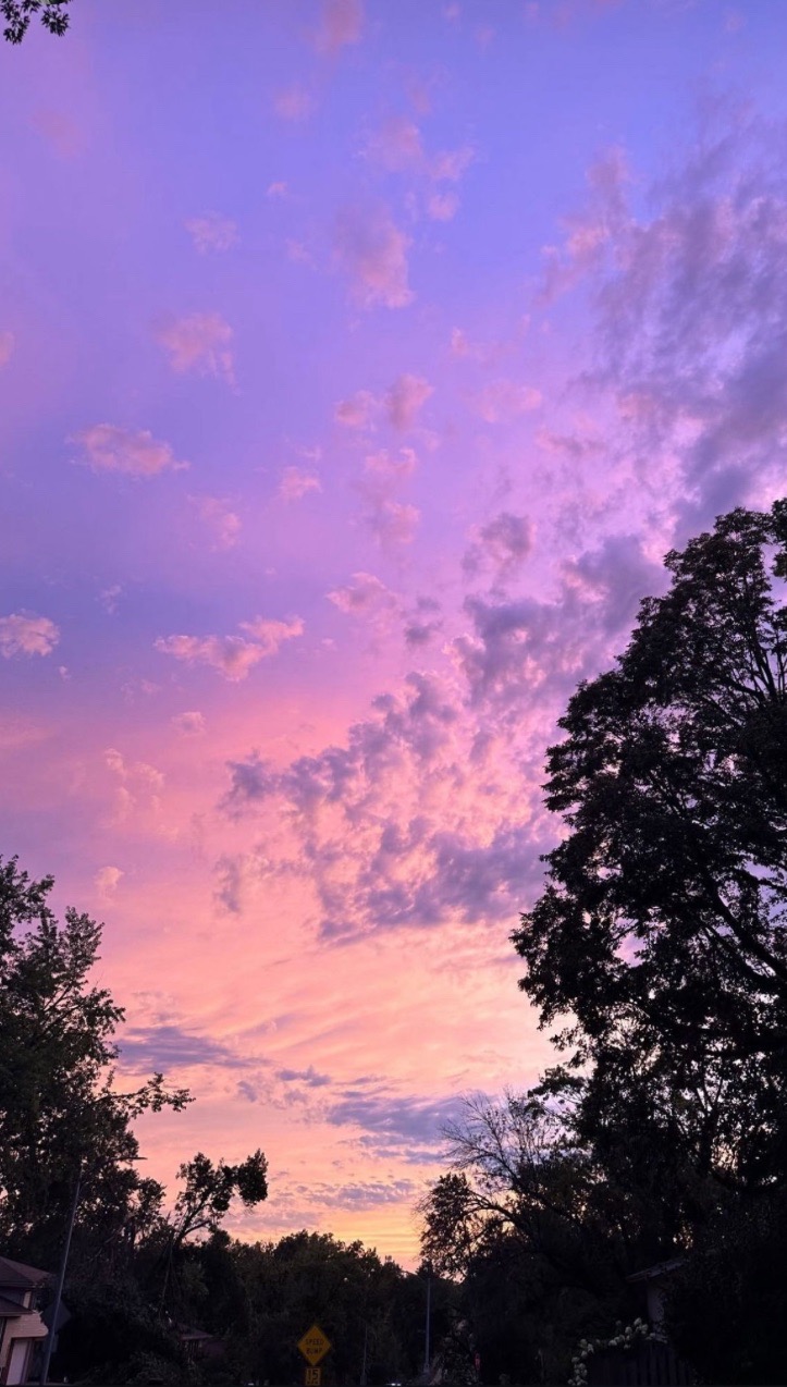 Hi Alessia you painted the sky beautifully last night you are so loved and greatly missed you are a very beautiful girl you didn’t deserve anything you went through i’m so sorry Alessia I am praying for you and your family and friends your an amazing wonderful beautiful girl LLAC fly high Alessia 💜