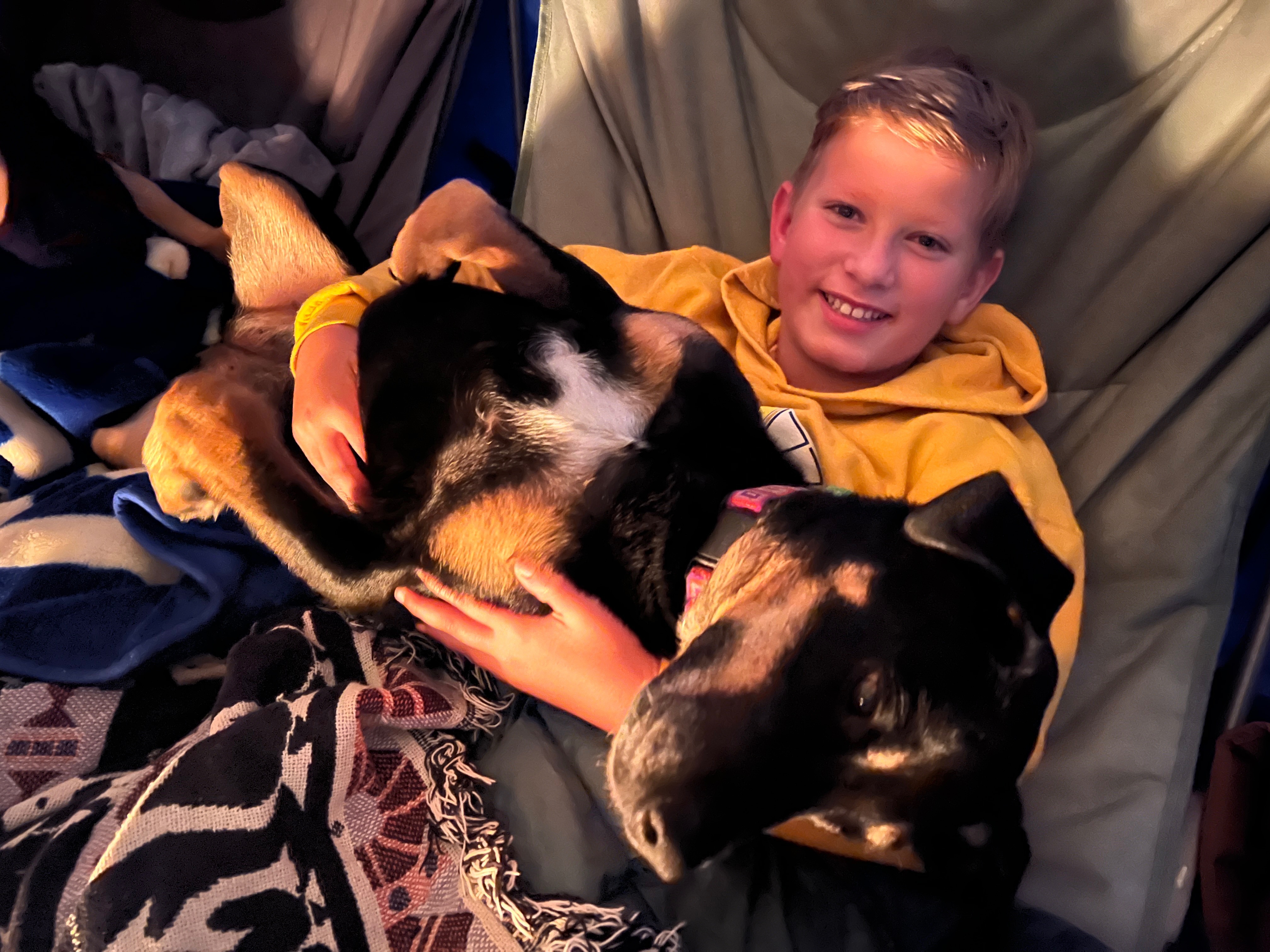 Always the best camping dog.