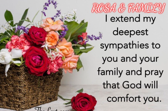 ππΌ π² Oh nooooooo! Your beautiful son David. I remember our boys playing together after church. I remember him so well. Handsome, smart & kind young man.
π I'm sooooo sorry Rosa. May the peace of God rest on you, his sons and family/friends right now. I am deeply sorry for your loss. I also lost a loved one less than 2 months ago. I pleaded with God to heal her...to give her more time but instead she went home. I know your pain right now. I know that no words can alleviate what you are feeling at this moment.
ππΌ Just know that God healed my heart π from the intense grief and pain I was going through. I pray the same for you! Only He can comfort you during this season. He is faithful Sister. I am here for you if you need anything. You can call me at anytime and I mean that...anytime. Reach out & let me know how we can best serve you/kids.
βοΈ We might not understand everything and all the why's...but know you can trust & lean on Jesus. He has never let us down and never will. He has the major plan for our life, and He always writes our story; our book of life so much better than we ever would. Please know that the King of Kings has got this and He is still on the thrown and He will comfort & get you/family through this. (Ecc 3:4) ππ½
π Remember all the things and situations He has brought you through before and all that you have overcome to get you where you are today. Remember who you are in Jesus!ππͺ