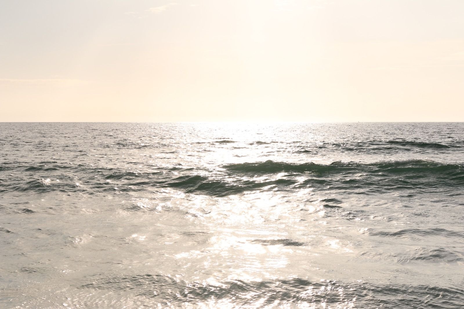 A quiet moment after goodbye — Mark, Ruby and I watched the sea carry Mum home.
Till we meet again. God Bless.