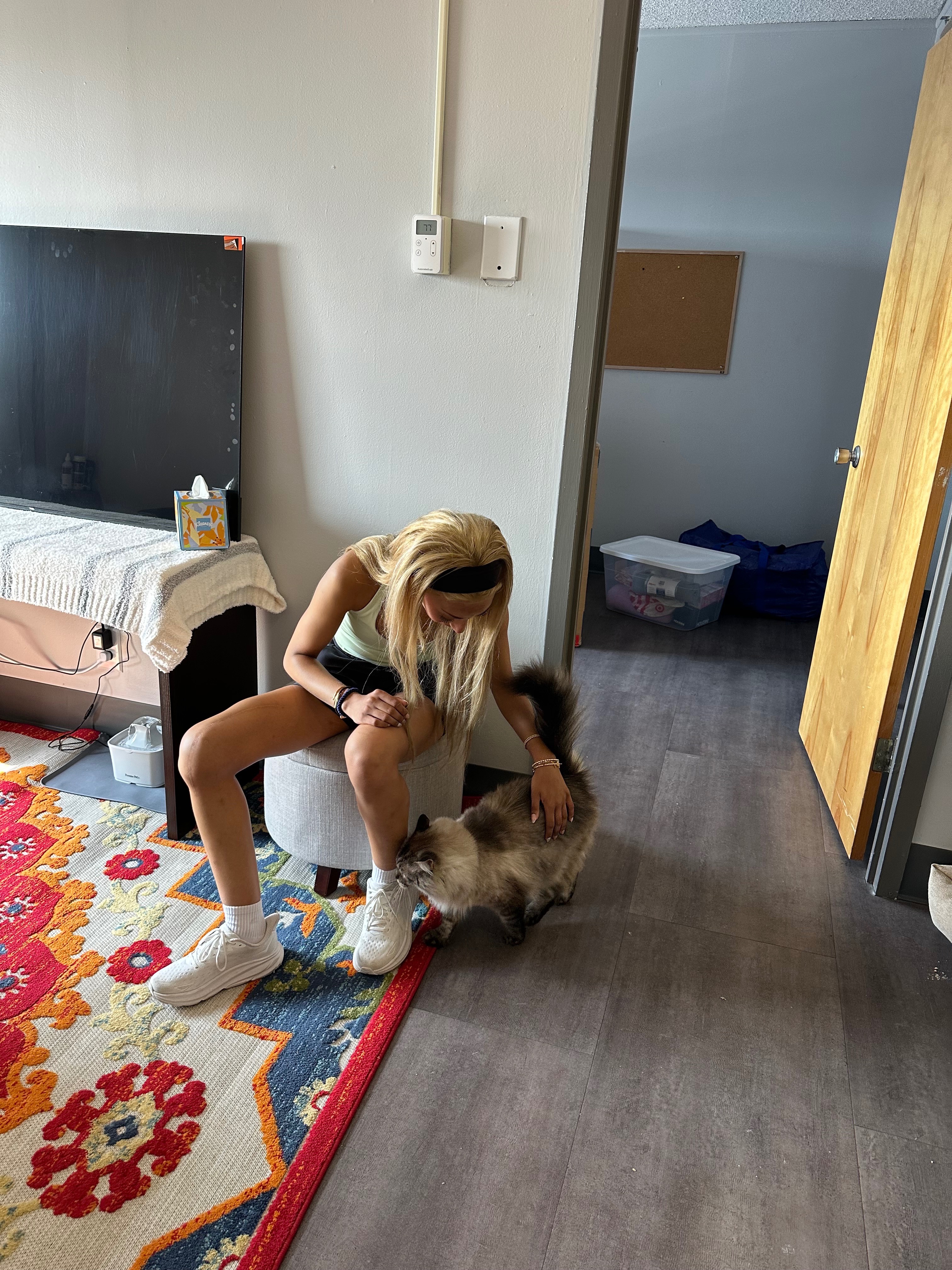 Move in day