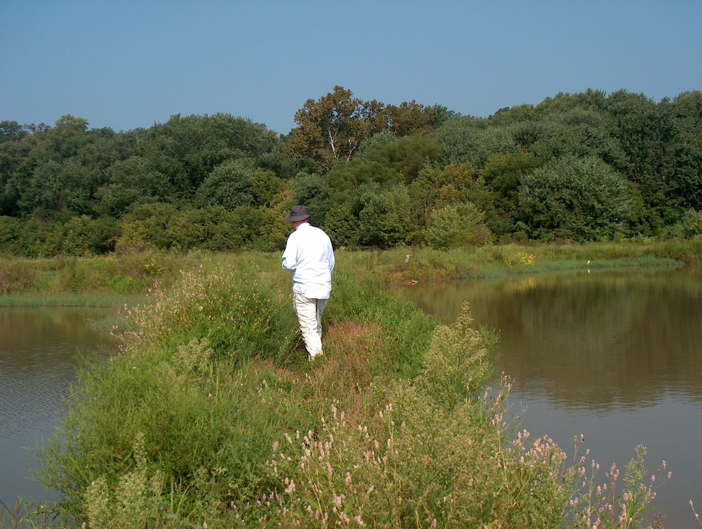 Birding at Lilypons Water Garden, August 2004 (with Angela Logomasini and Susan Anderson)