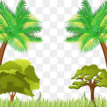 Bangun Tree.