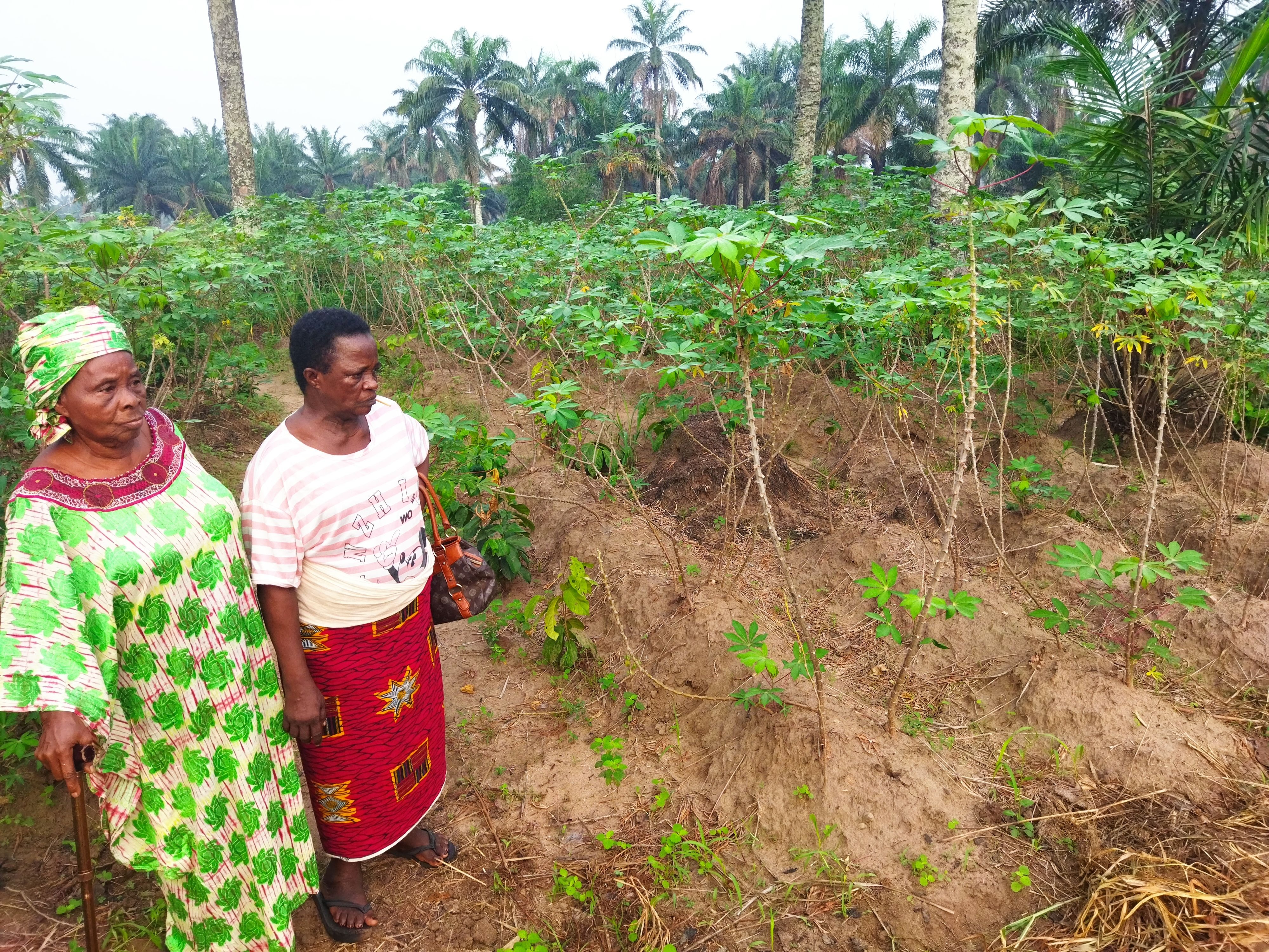 Mama and her in-law admiring her farm. Oh she loved farming!