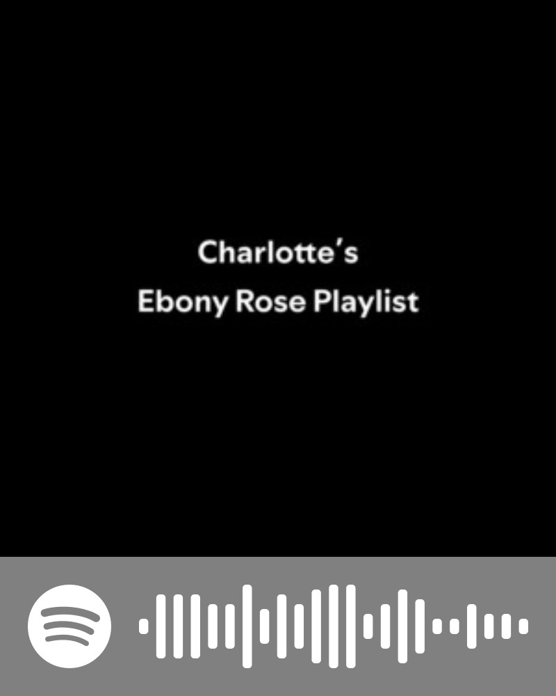 Inspired by Charlotte’s book of poetry “Reflections of an Ebony Rose”. Songs from her life — music we shared, loved, and remembered together. Uplifting, joyful, and full of her spirit.
https://open.spotify.com/playlist/0gJQvEmABdElnTlDdqf7d1?si=rf_kwmelTqO3zKaiI5R2OA