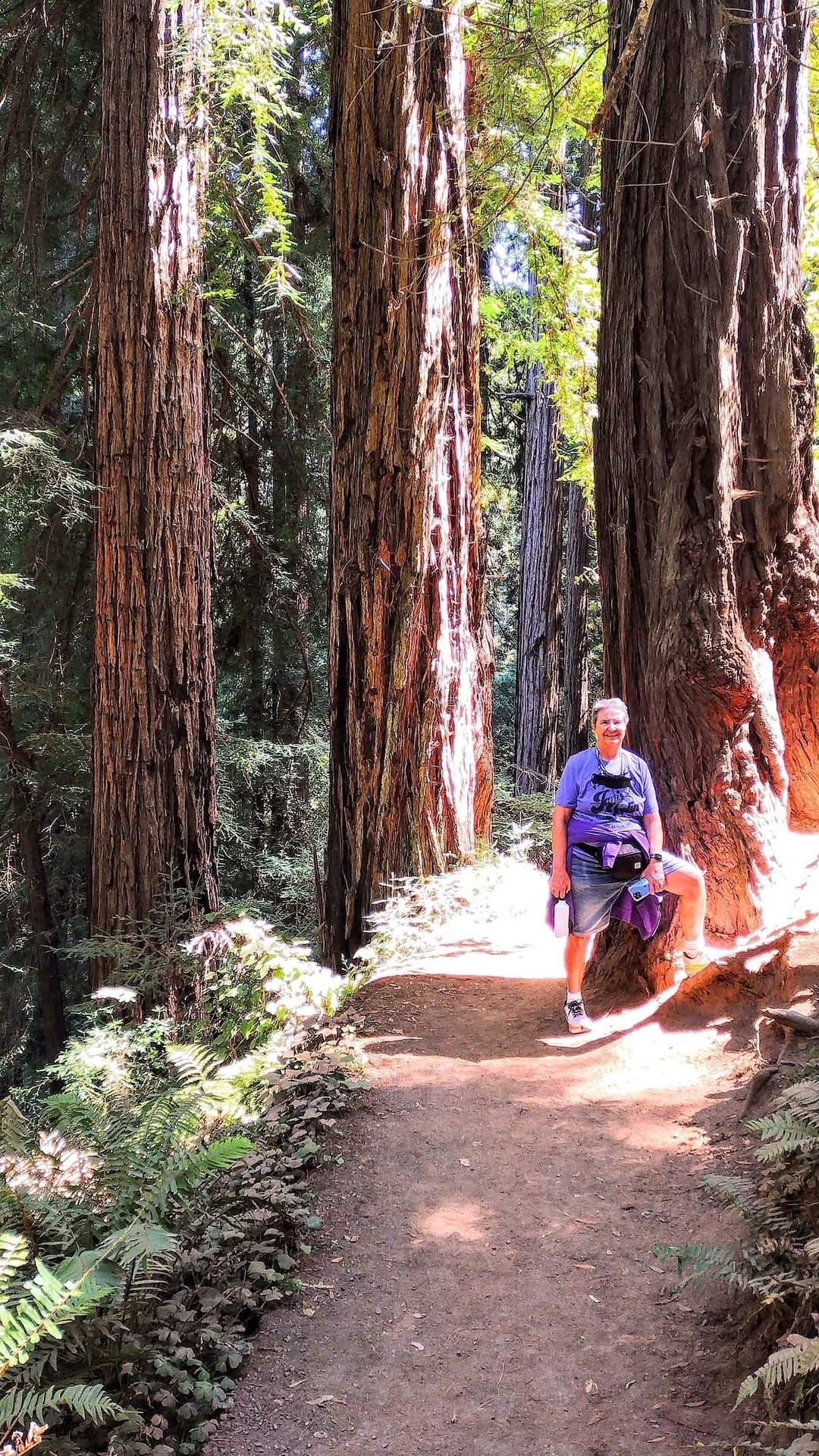 Ann and Giovanna went on an amazing hike in Muir Woods National Park in Northern California, Aug 2022.