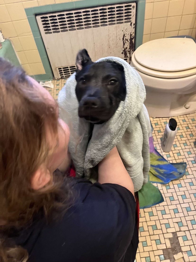 Amanda giving her child a bath