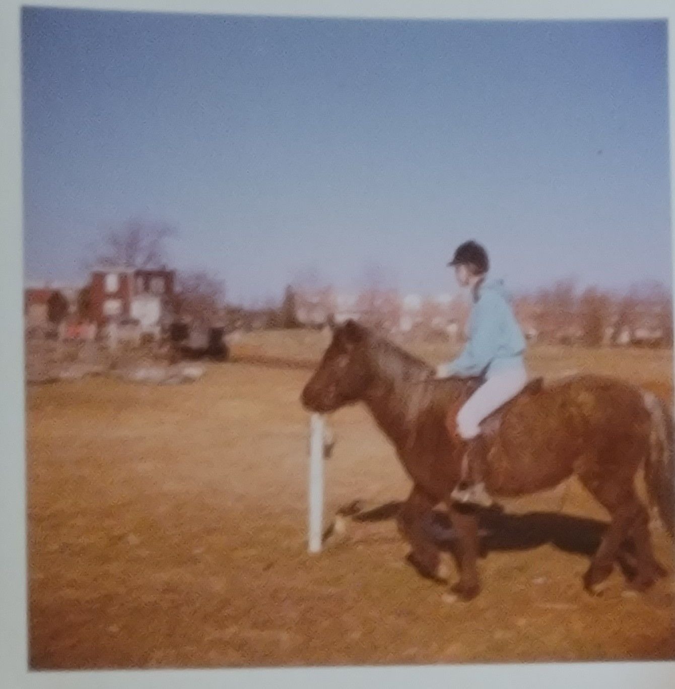 A picture of my mother (as teenager) riding a pony.