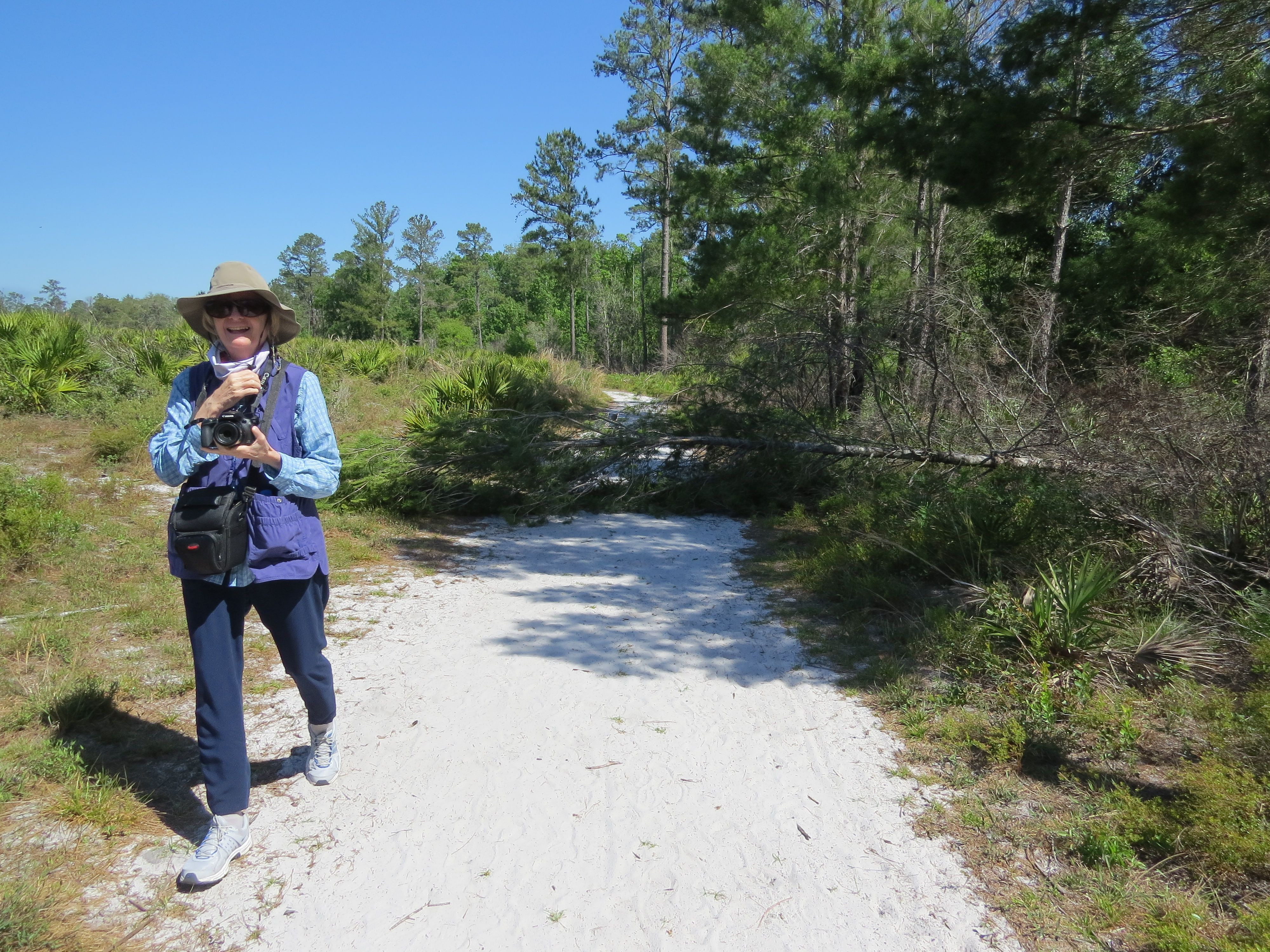 Darlene was a dear friend who introduced me to Wekiwa Springs Park where this photo was taken in 2018. (An earlier storm had knocked down the tree you see on the path.) We spent many happy hours on photo adventures at various parks in Central Florida. However, Wekiwa (especially the Sand Lake area) held a special place in our hearts.)