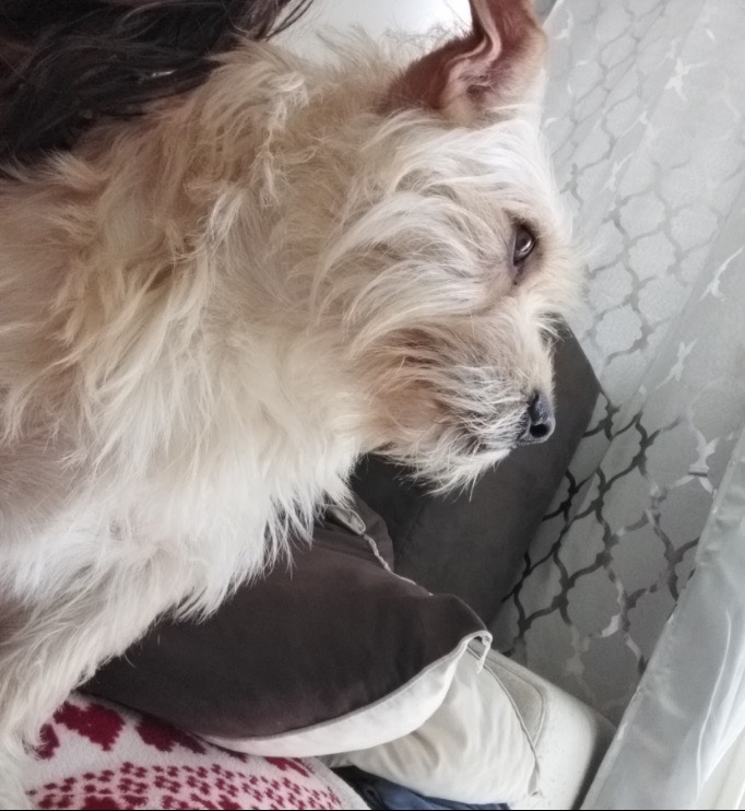 I love you😘😭😢🤧💔