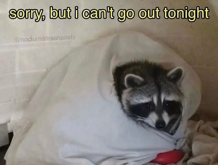 Amanda’s favorite meme we’d send each other 