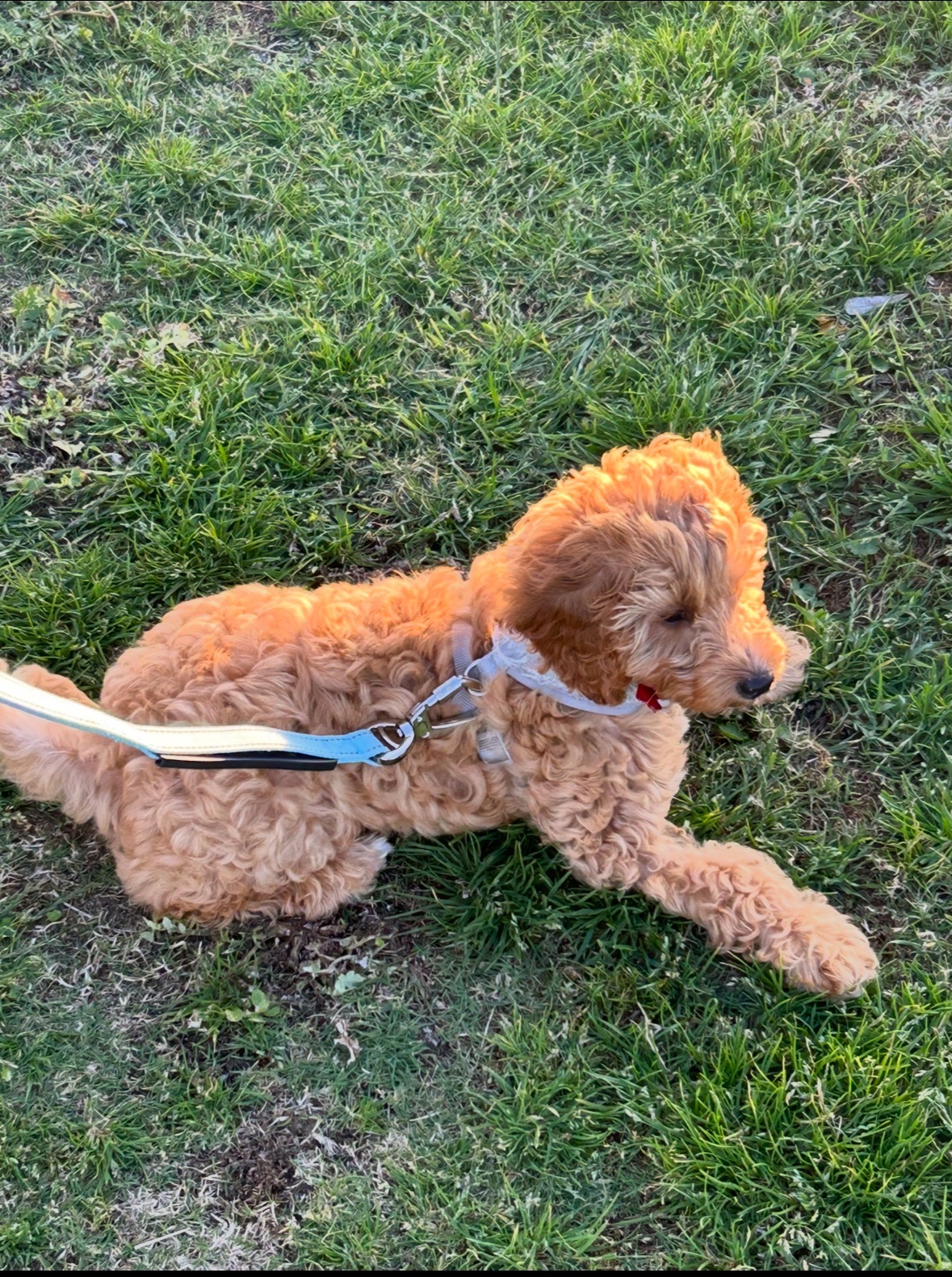 Trip to the beach !