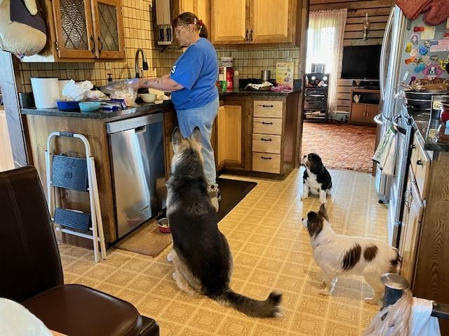 Poppie, Luna, and Paris all hoping to get a taste of what mom is cooking.  Of course she always tossed them a little scrap.

She loved cooking and baking.  