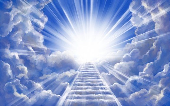 bro when he went into the light