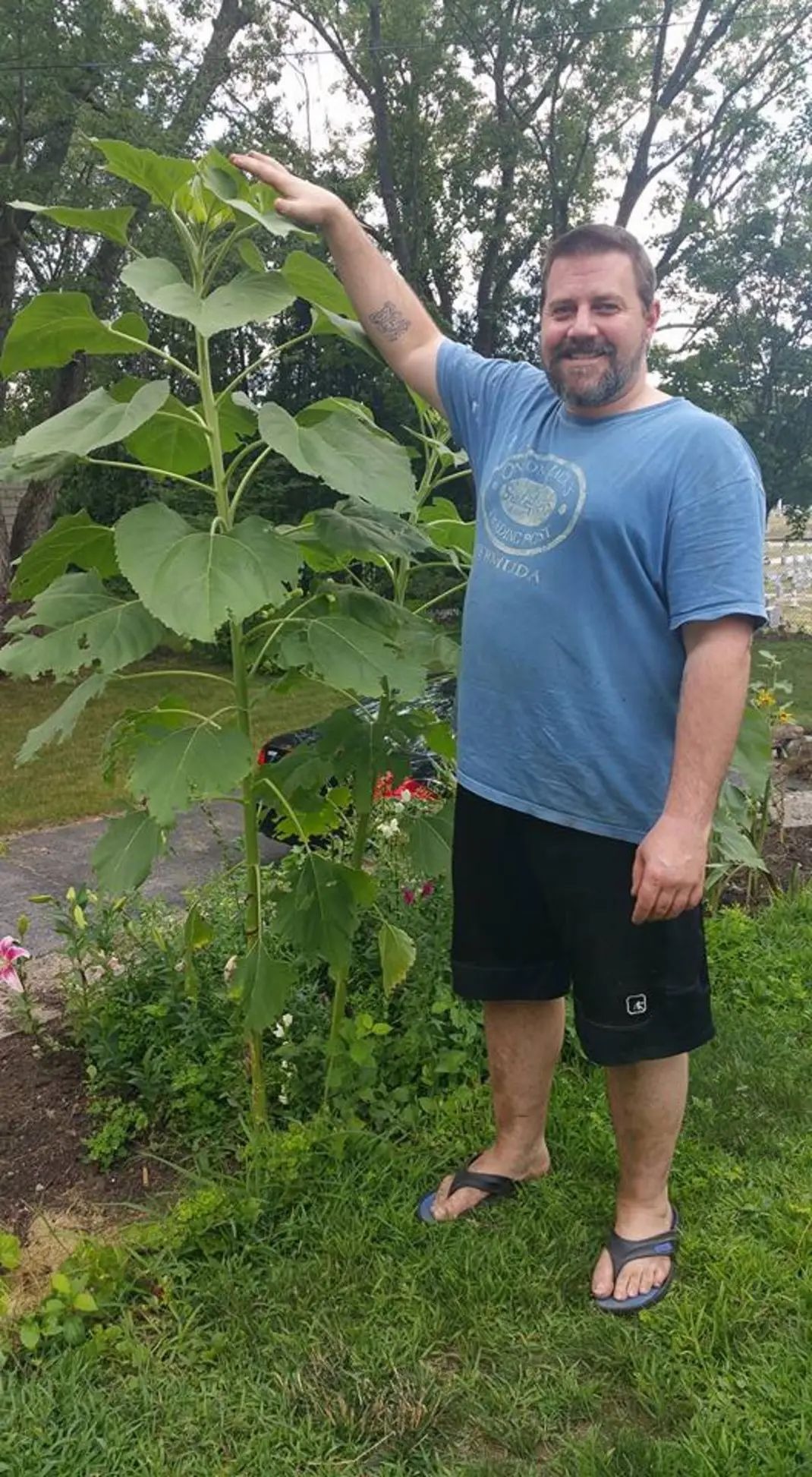 Adam also really had quite the green thumb. He had that kind of patience about him, and loved growing plants from seed. We had a pretty prolific garden the first few years in his house on Woodside. He was particularly fond of his sunflowers 🌻 He just wanted to be the hub, the hangout, the firepit for people to come and go from late into the night hours. We had many good times hosting friends in our yard 🩷