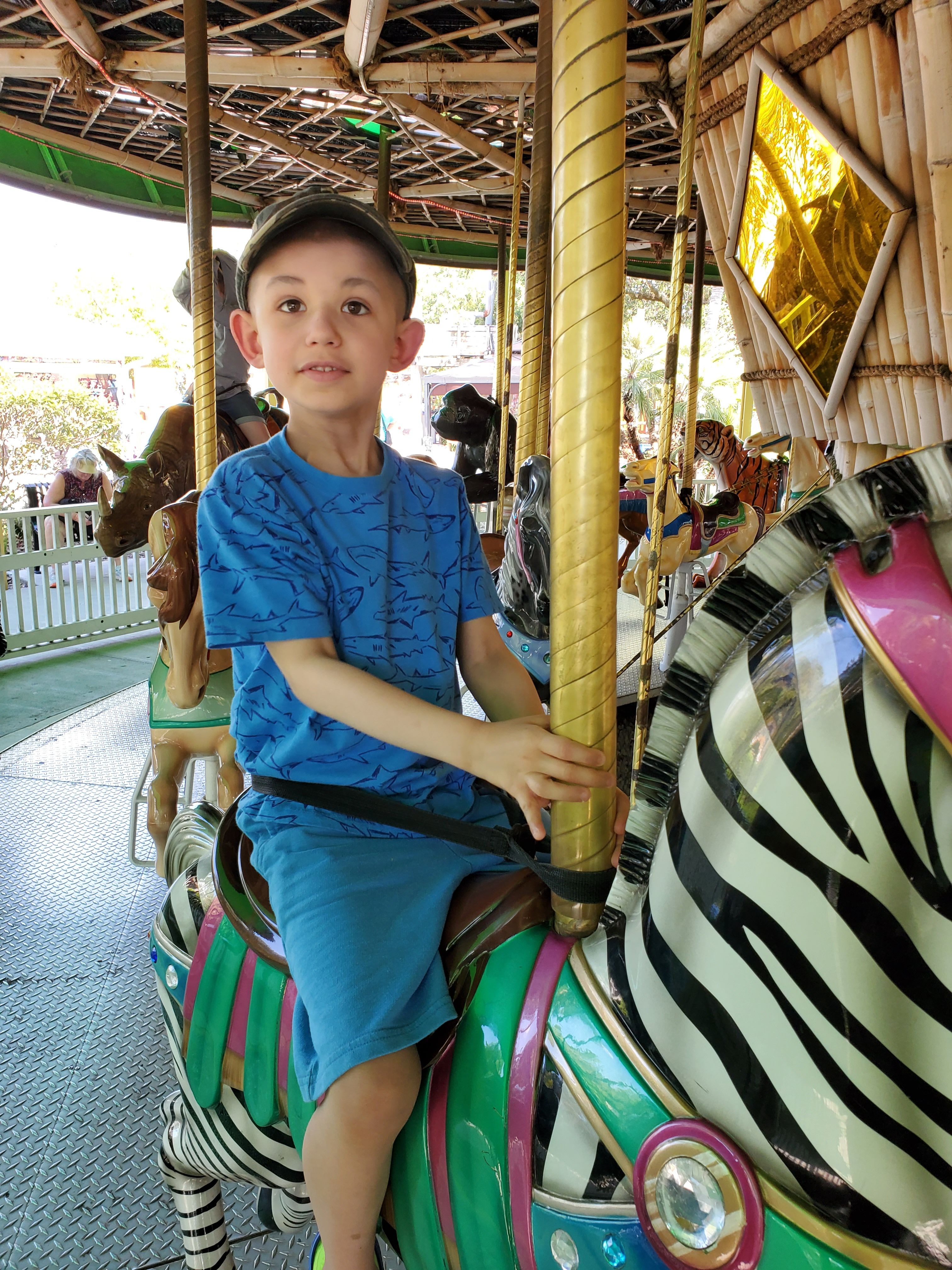Fun at the zoo on the carousel