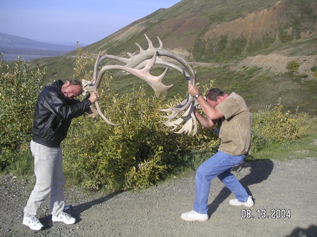 2004 Scott and his brother Ed playing around with some very large Elk Horns found near the Denali Park Ranger Station in Alaska