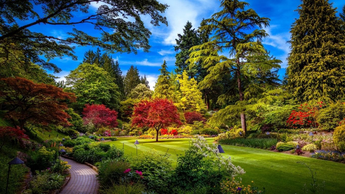 garden