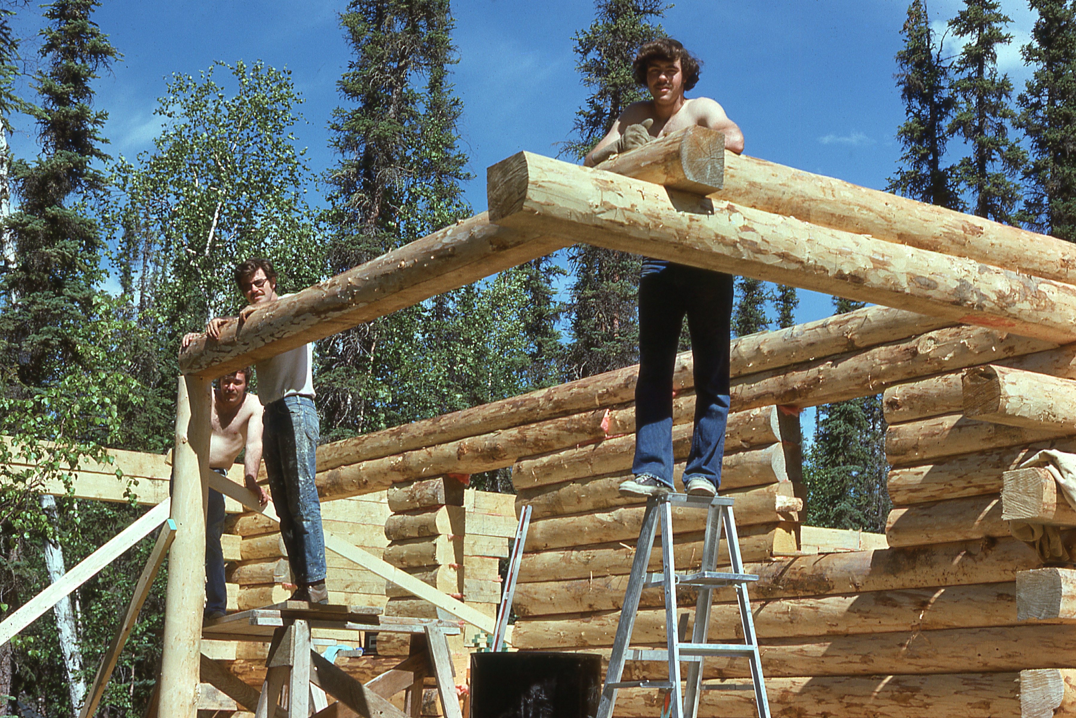 Learning log building.
