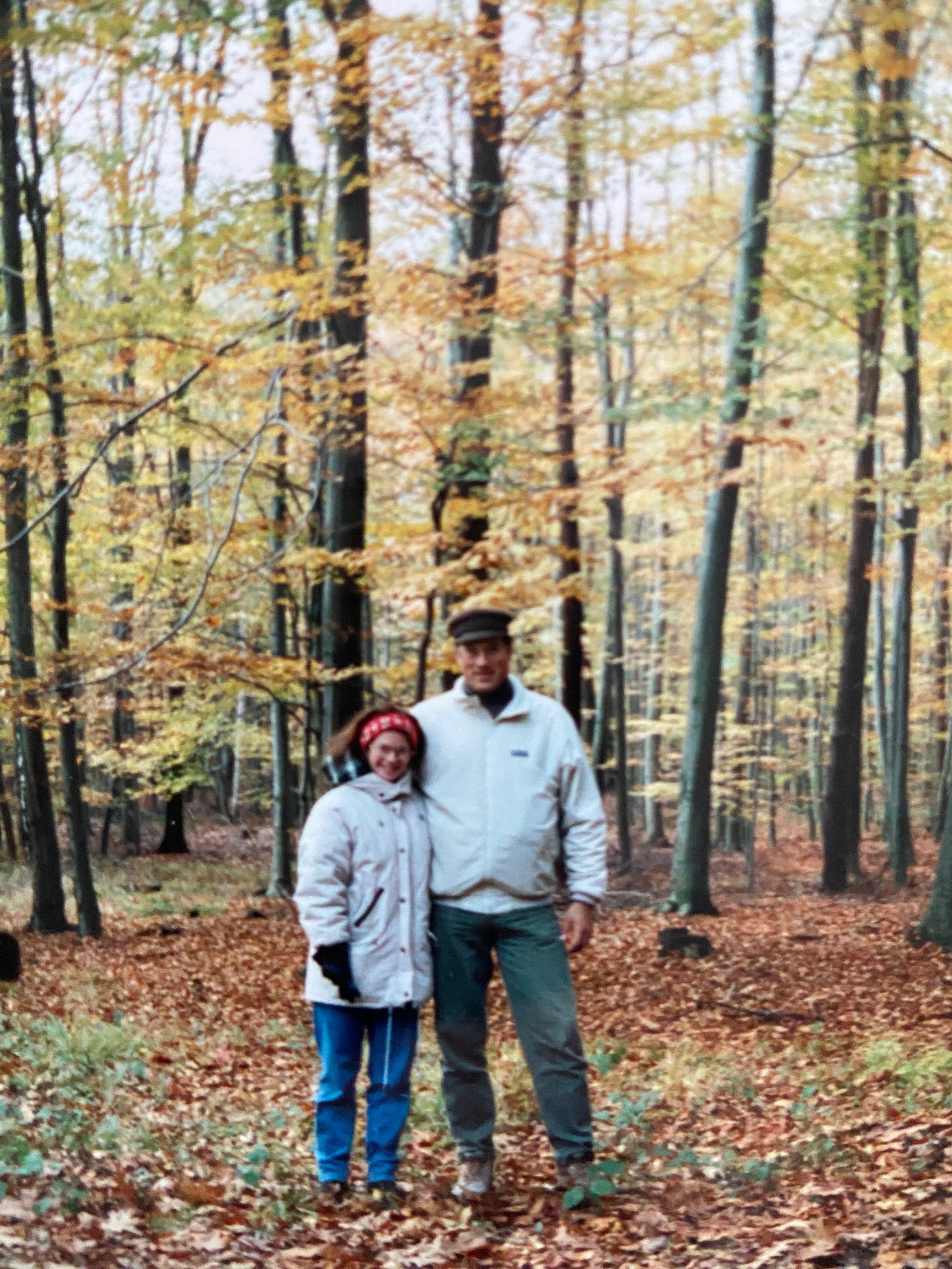 In a German forest in fall. 