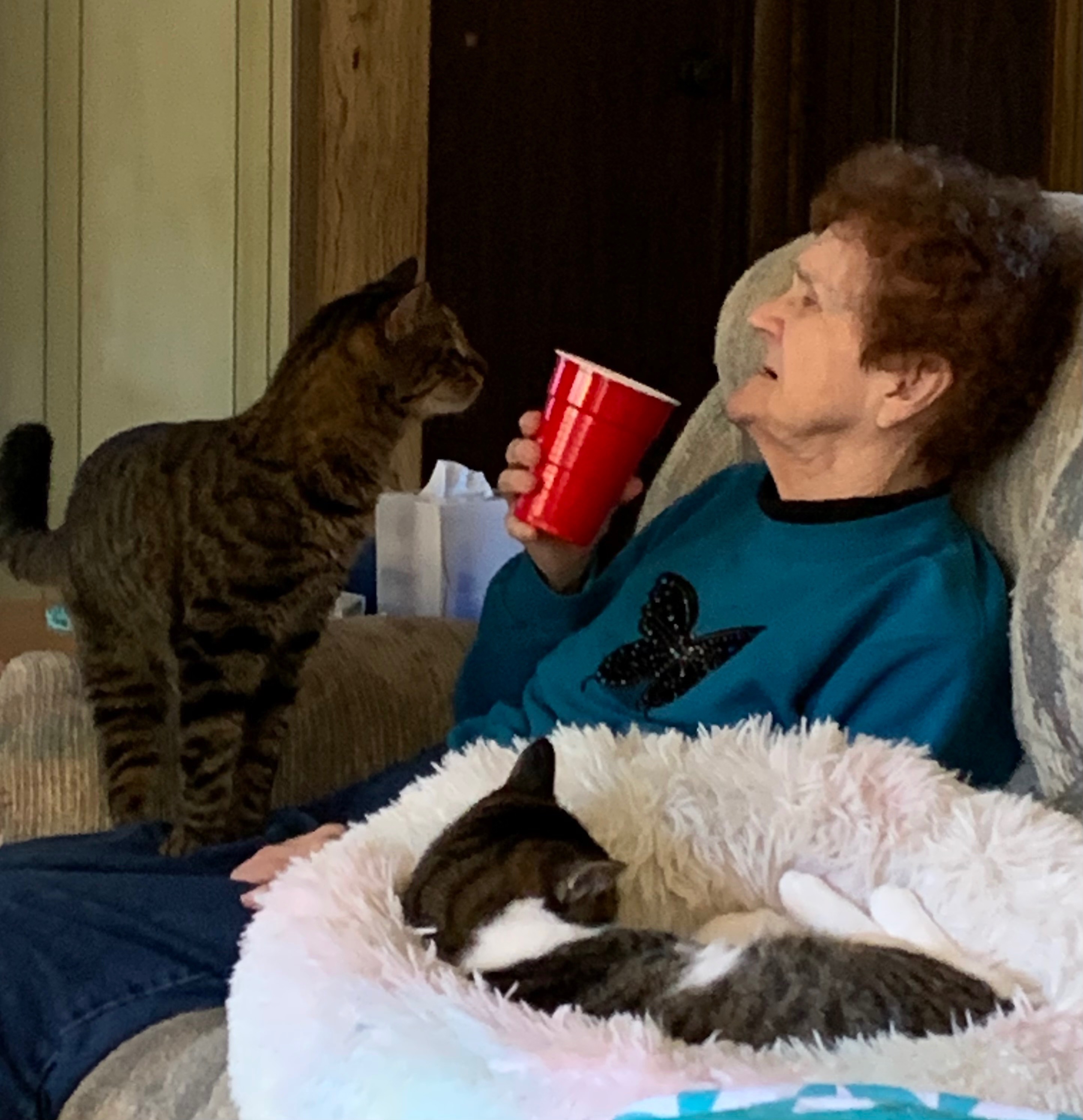 Her Grandkitties loved her too 💕
