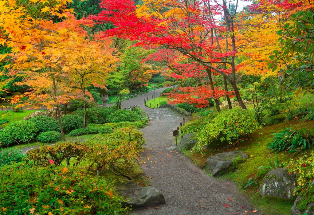 Dil garden garden.